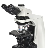 Микроскоп ARSTEK P90 TRF